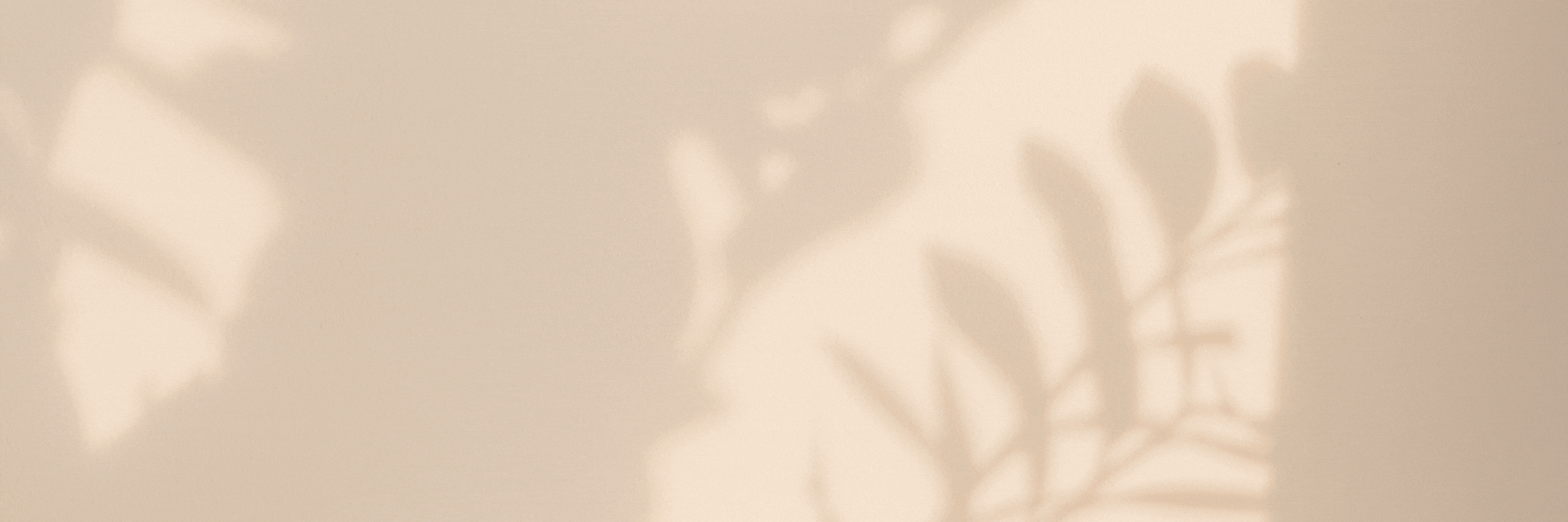 SECRET Collection.gif__PID:d34ea8ff-e69b-42b6-b4fa-f355a9a36b03